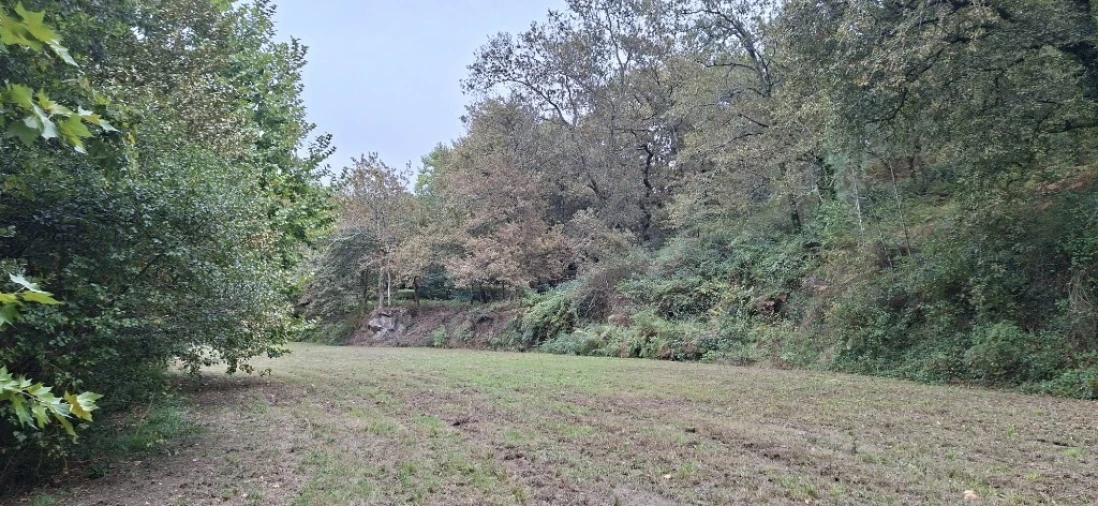 Terreno para Venda em Torre e Portela Foto 3