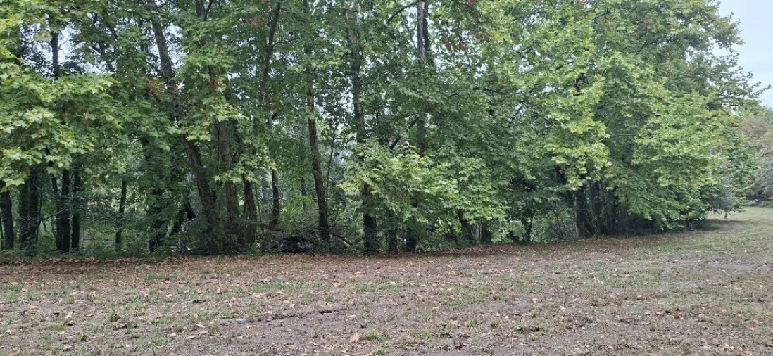 Terreno para Venda em Torre e Portela Foto 11