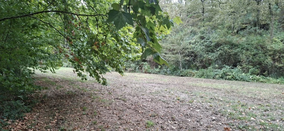 Terreno para Venda em Torre e Portela Foto 12
