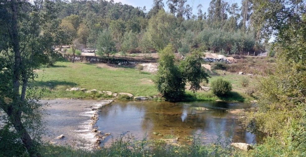 Terreno para Venda em Torre e Portela Foto 18