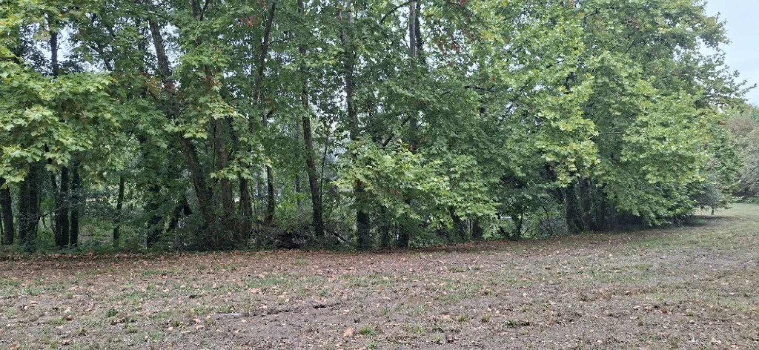Terreno para Venda em Torre e Portela Foto 11