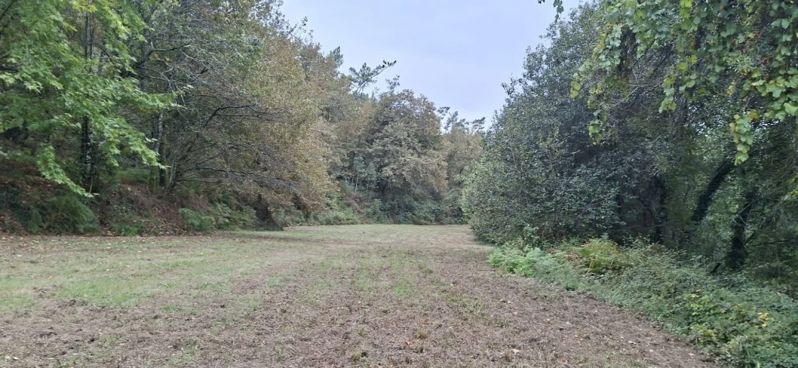 Terreno para Venda em Torre e Portela Foto 15