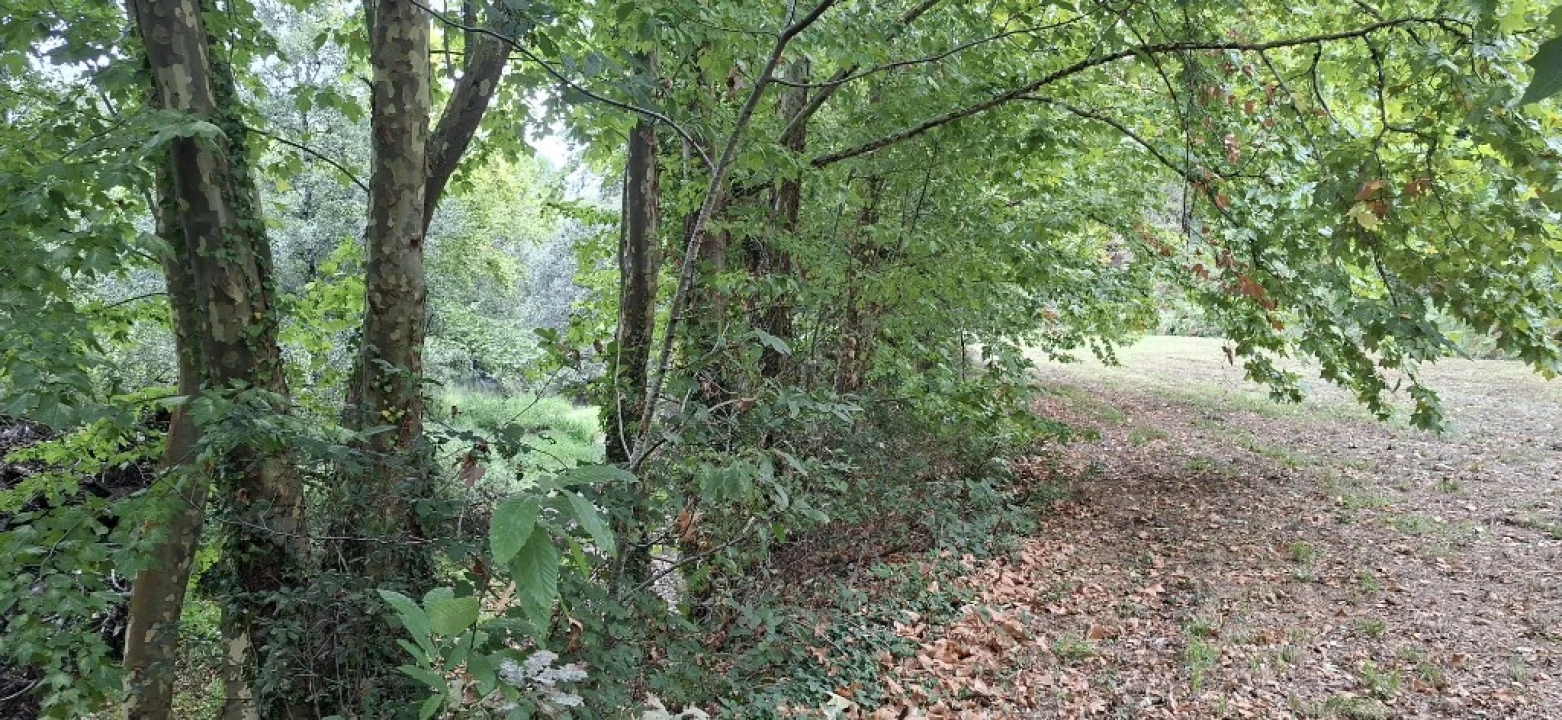 Terreno para Venda em Torre e Portela Foto 10