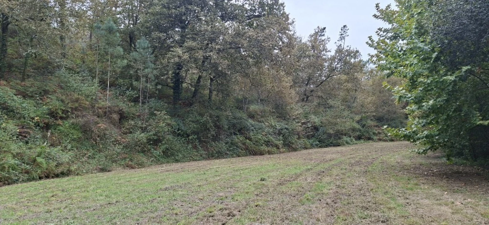 Terreno para Venda em Torre e Portela Foto 4