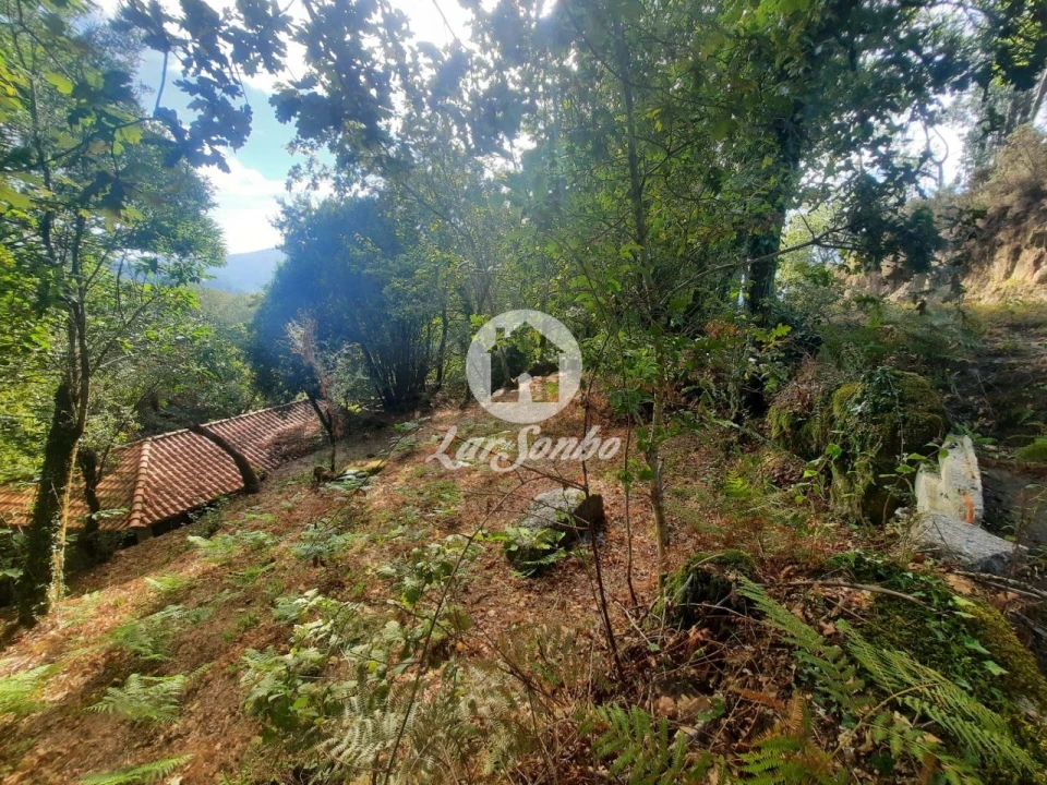 Moradia T2 para Venda em Moreira do Rei e Várzea Cova Foto 9