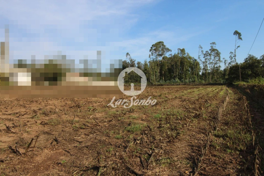 Terreno para Venda em Bagunte, Ferreiró, Outeiro Maior e Parada Foto 2