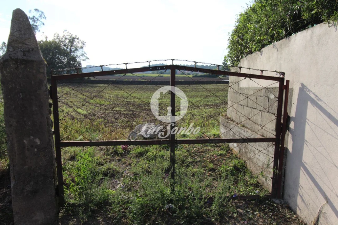 Terreno para Venda em Bagunte, Ferreiró, Outeiro Maior e Parada Foto 5