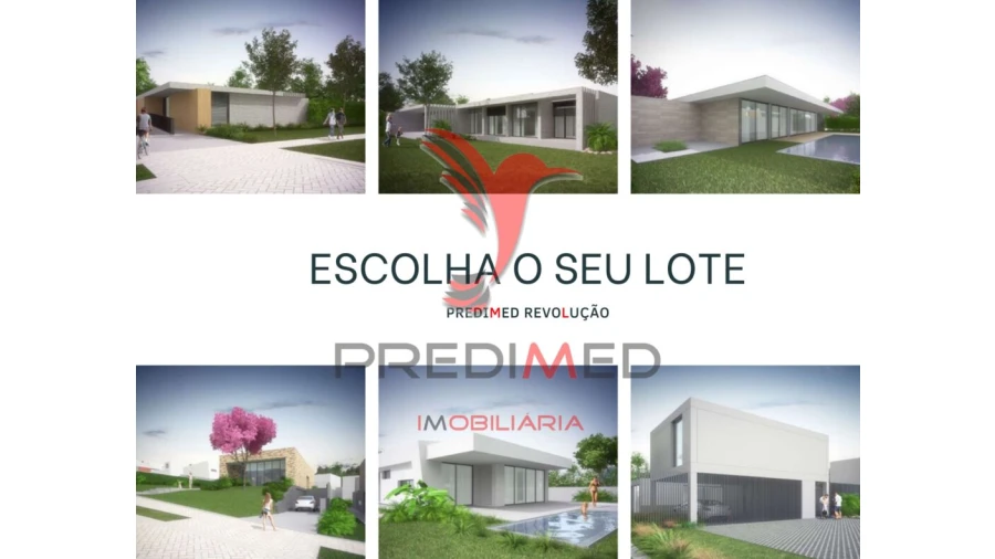 Terreno para Venda em Palmeira Foto 9
