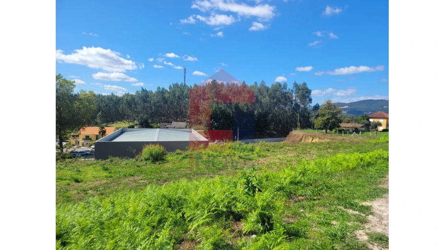 Terreno para Venda em Esqueiros, Nevogilde e Travassós Foto 4