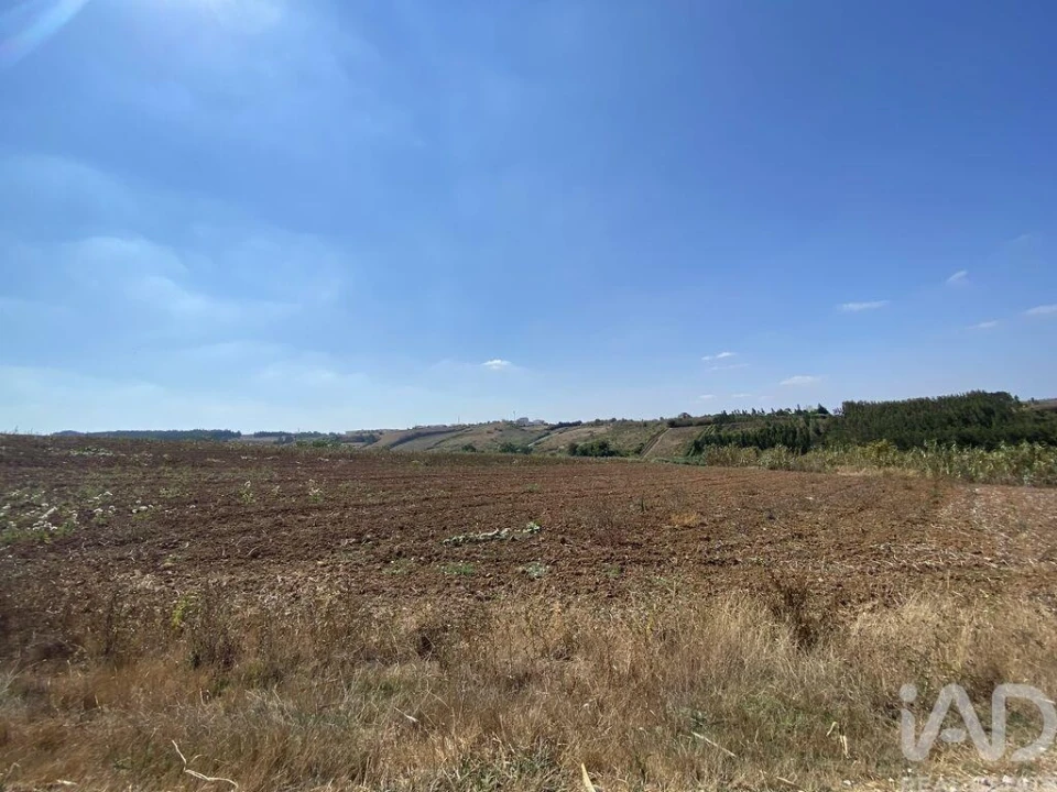 Terreno para Venda em Lourinhã e Atalaia Foto 24