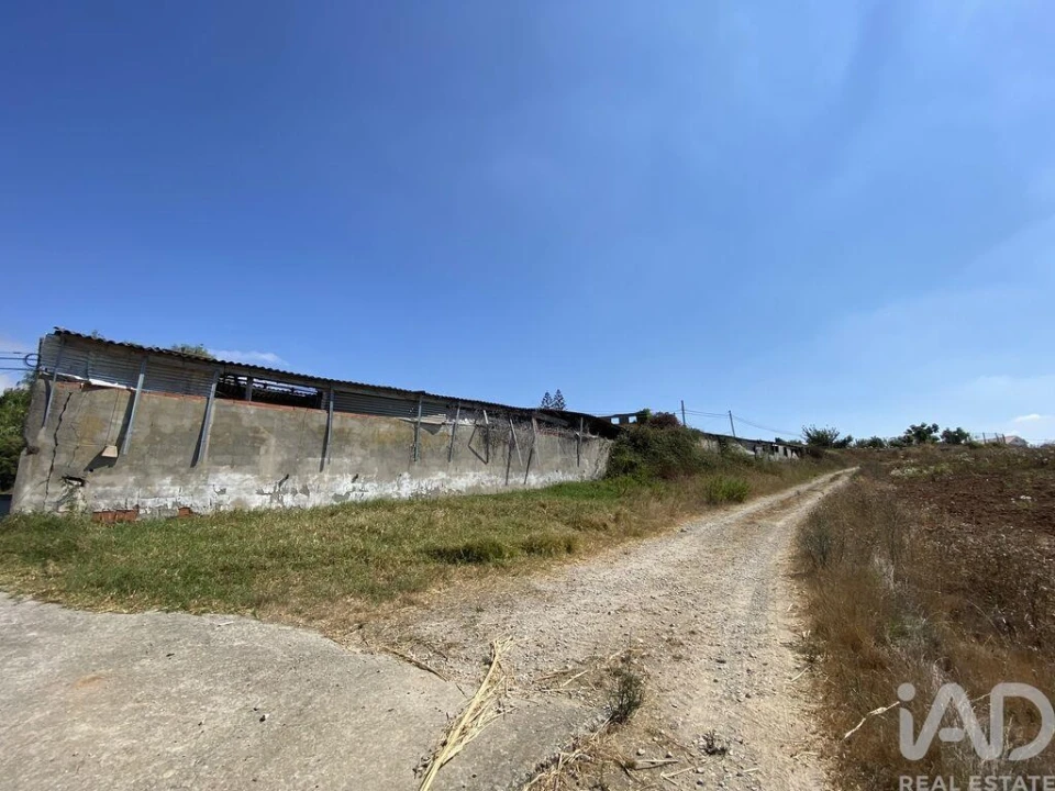 Terreno para Venda em Lourinhã e Atalaia Foto 25