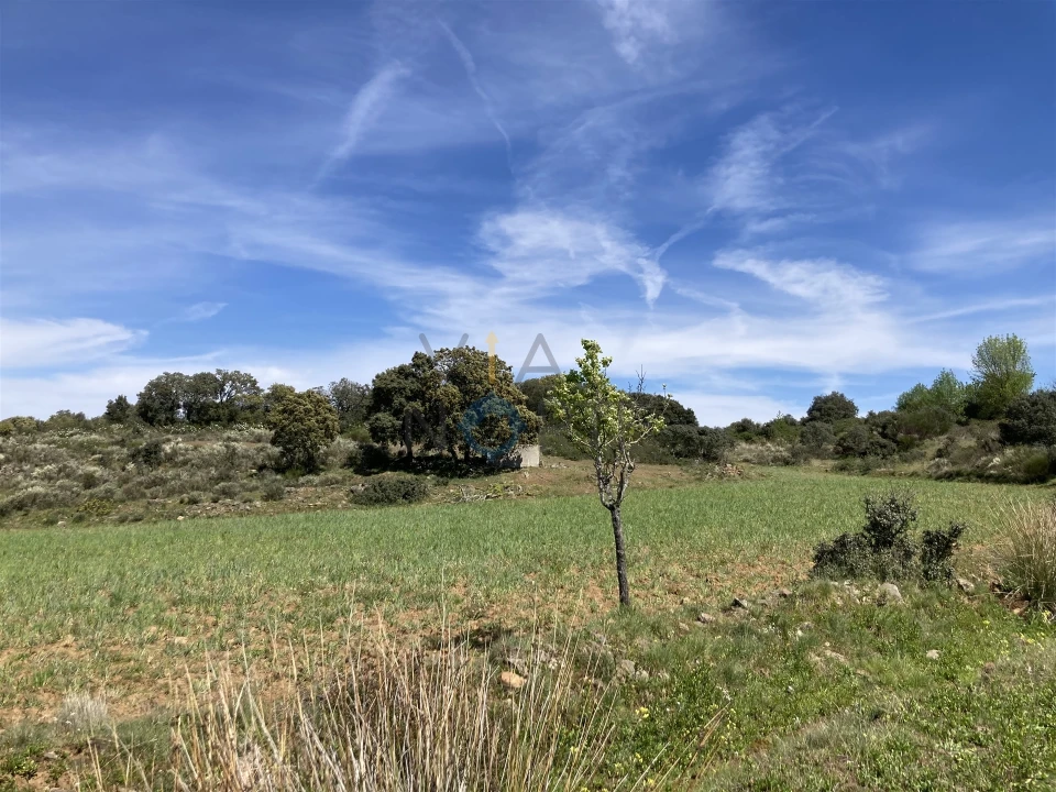 Terreno Agricola ou Rústico para Venda em Azinhoso Foto 3
