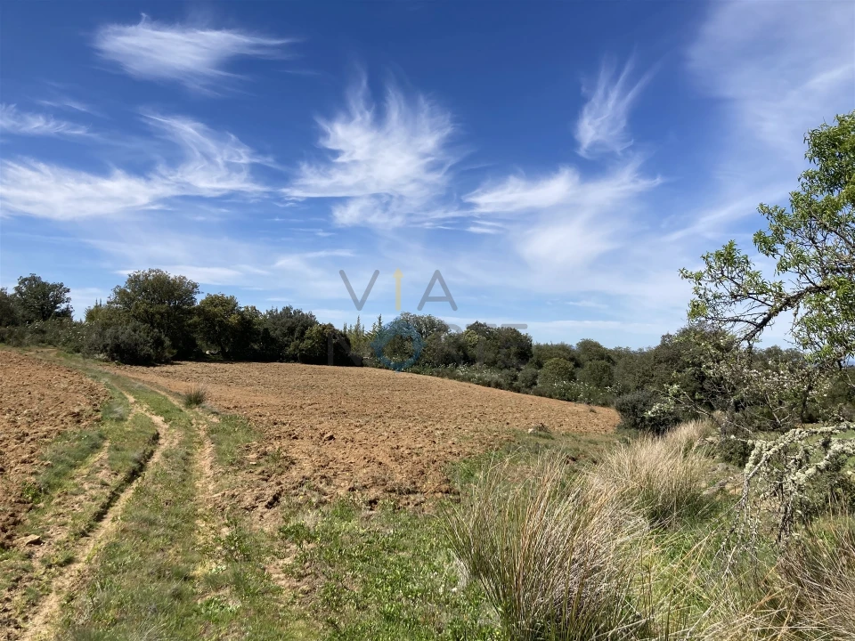 Terreno Agricola ou Rústico para Venda em Azinhoso Foto 4