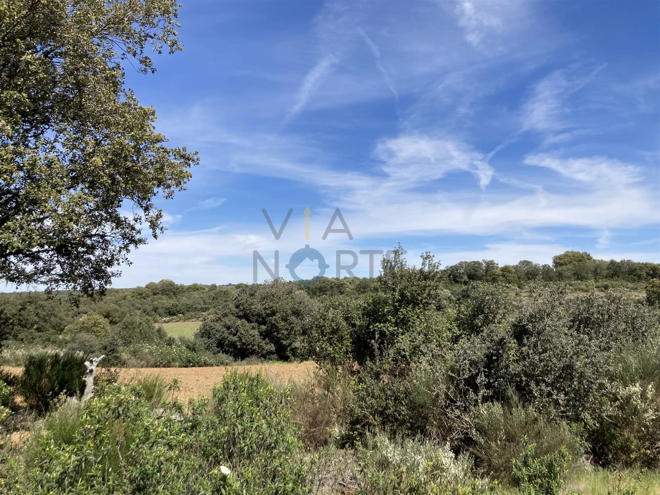 Terreno Agricola ou Rústico para Venda em Azinhoso Foto 8