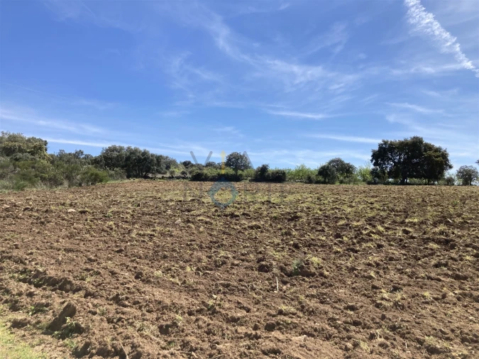 Terreno Agricola ou Rústico para Venda em Azinhoso Foto 2