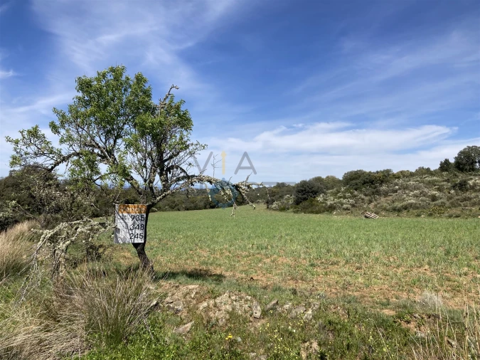 Terreno Agricola ou Rústico para Venda em Azinhoso Foto 1