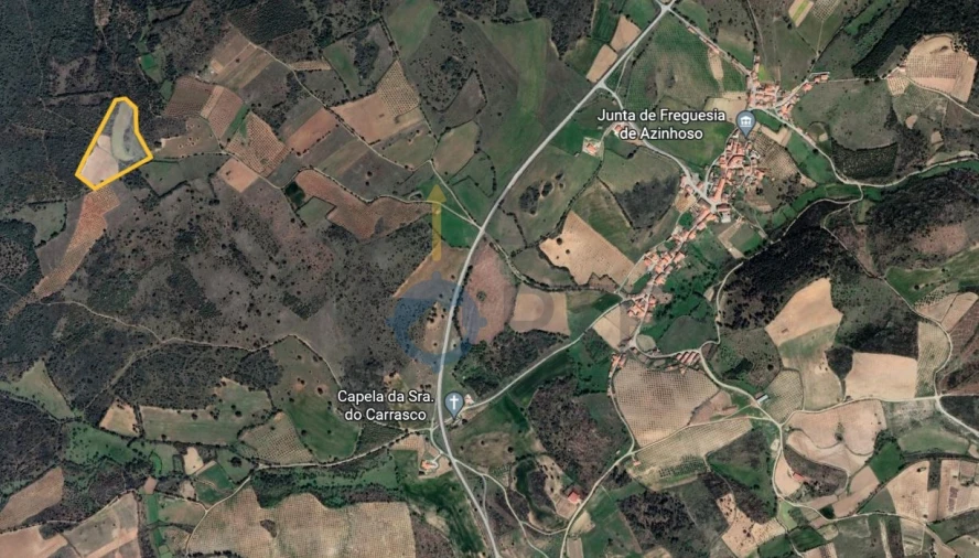 Terreno Agricola ou Rústico para Venda em Azinhoso Foto 12