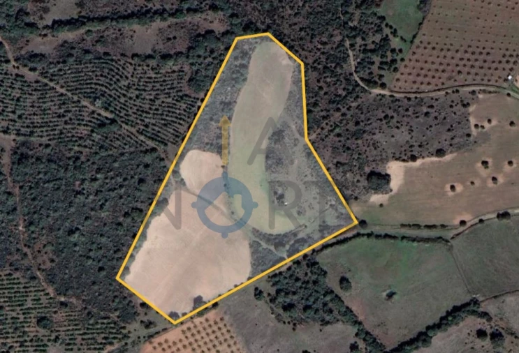 Terreno Agricola ou Rústico para Venda em Azinhoso Foto 11