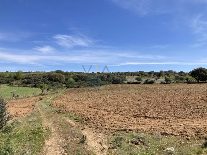 Terreno Agricola ou Rústico para Venda em Azinhoso Foto 9