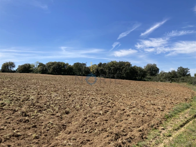Terreno Agricola ou Rústico para Venda em Azinhoso Foto 6