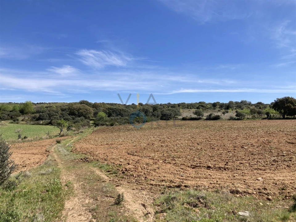 Terreno Agricola ou Rústico para Venda em Azinhoso Foto 9