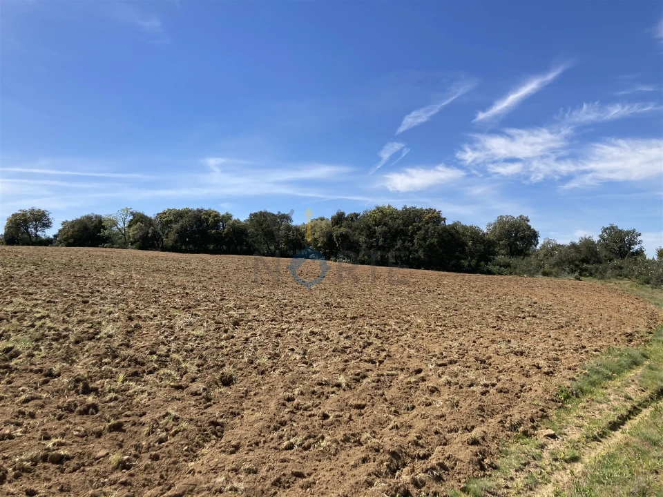 Terreno Agricola ou Rústico para Venda em Azinhoso Foto 6