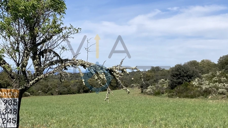 Terreno Agricola ou Rústico para Venda em Azinhoso