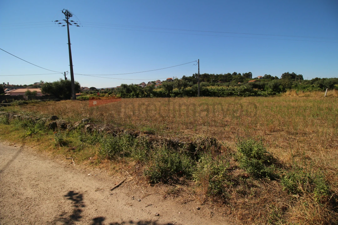Terreno Agricola ou Rústico para Venda em Nespereira Foto 8