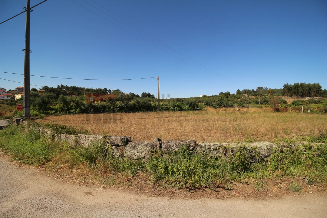 Terreno Agricola ou Rústico para Venda em Nespereira Foto 9