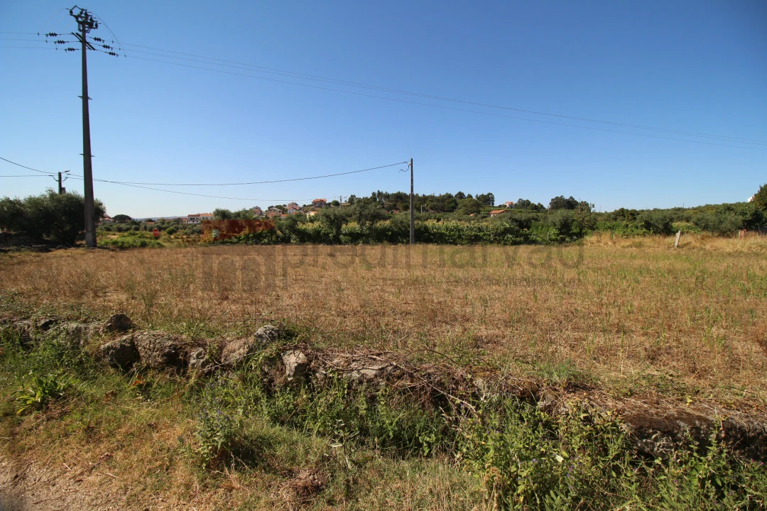 Terreno Agricola ou Rústico para Venda em Nespereira Foto 5