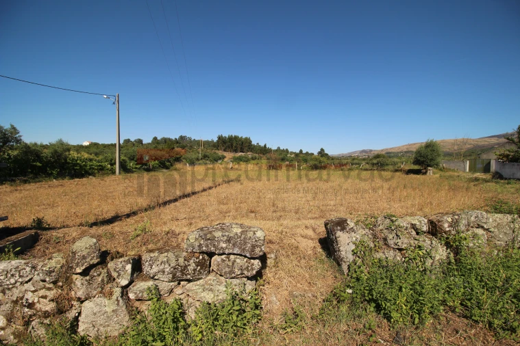 Terreno Agricola ou Rústico para Venda em Nespereira Foto 4