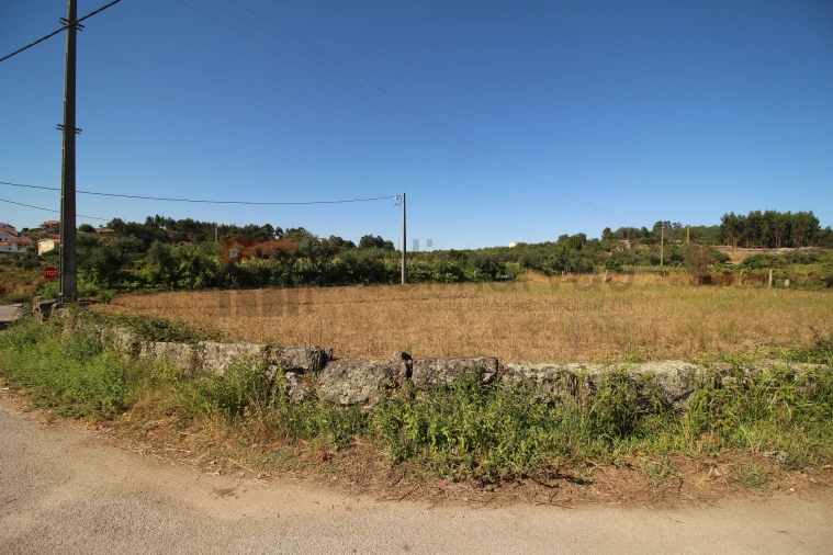 Terreno Agricola ou Rústico para Venda em Nespereira Foto 9