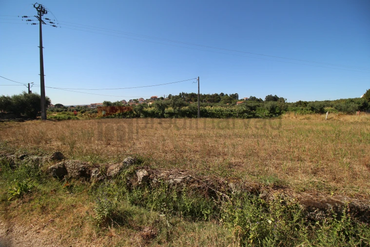 Terreno Agricola ou Rústico para Venda em Nespereira Foto 5