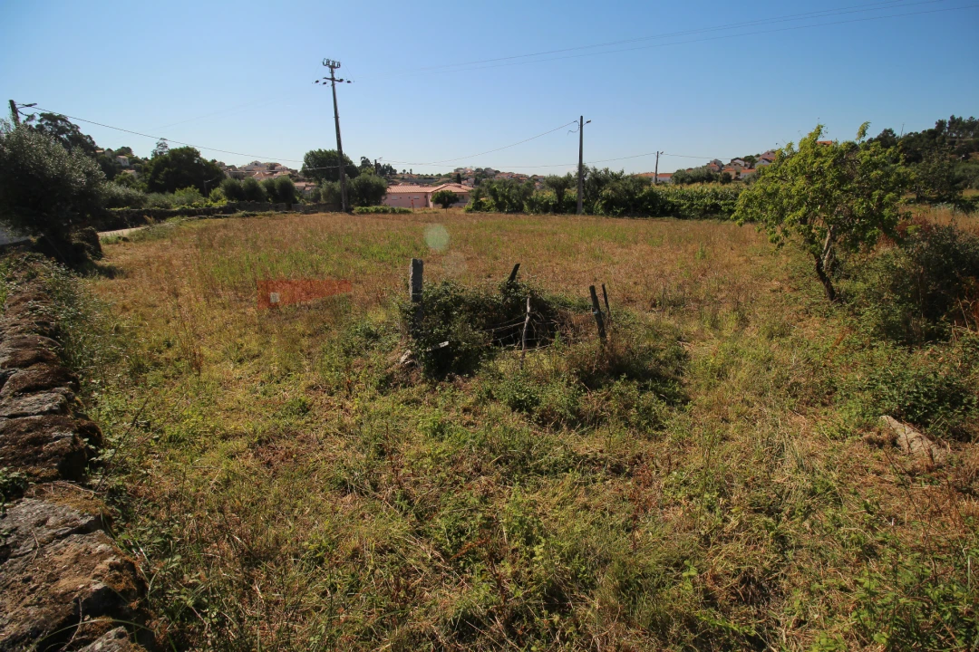 Terreno Agricola ou Rústico para Venda em Nespereira Foto 7