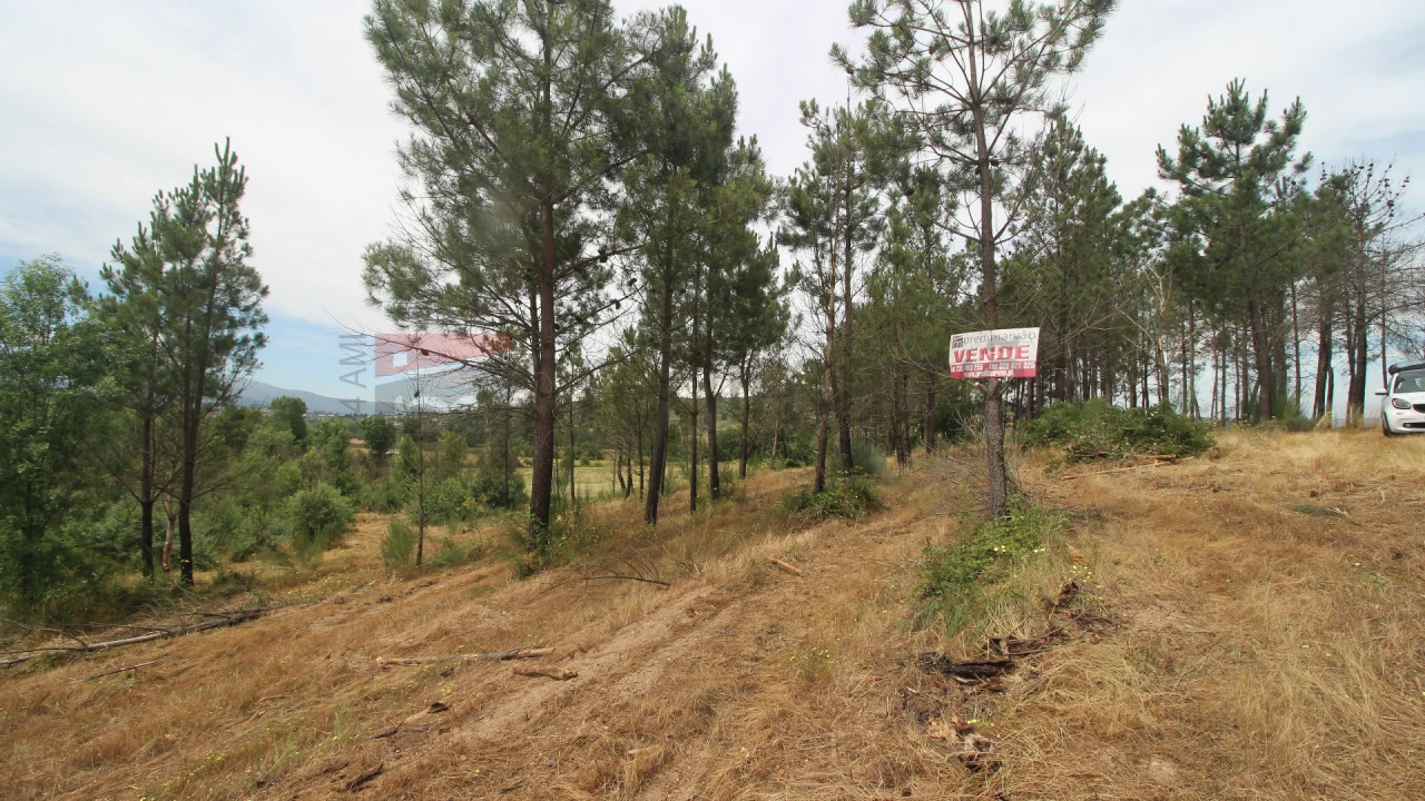Terreno para Venda em Carrapichana Foto 9