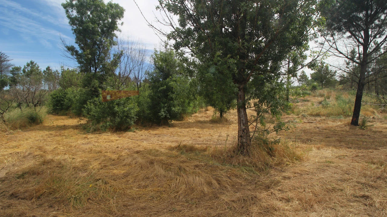 Terreno para Venda em Carrapichana Foto 3