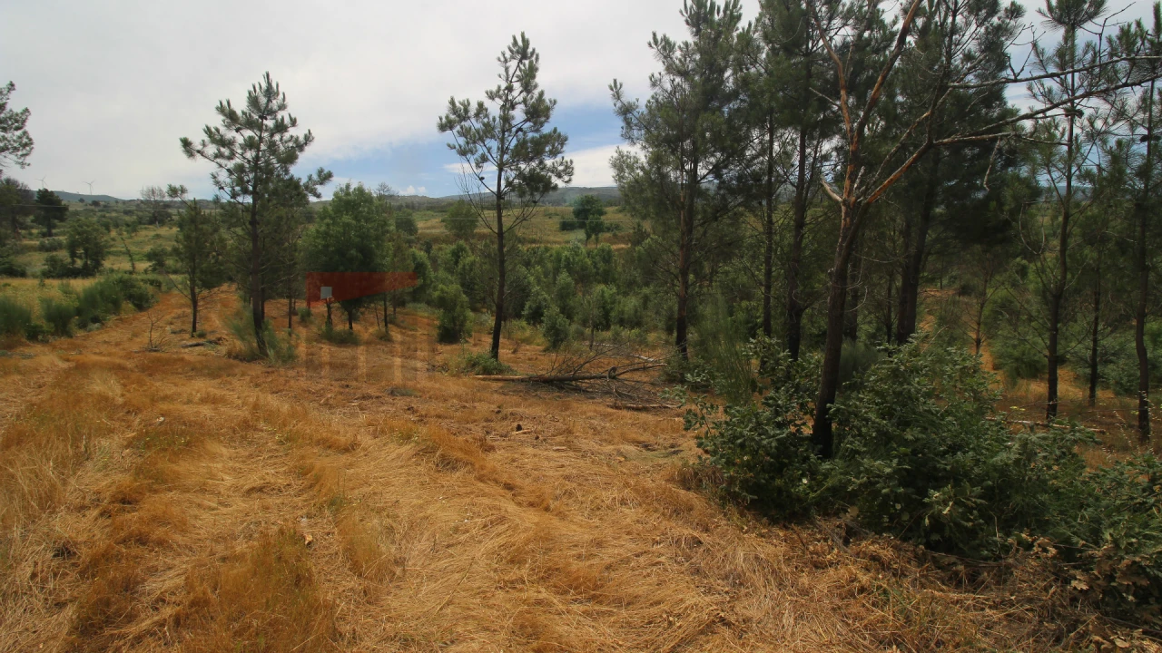 Terreno para Venda em Carrapichana Foto 5