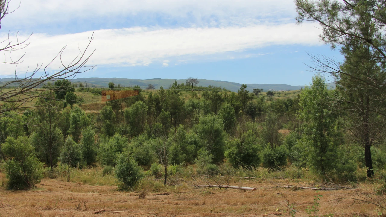 Terreno para Venda em Carrapichana Foto 12