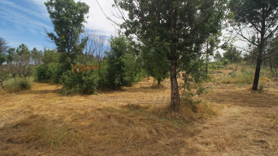 Terreno para Venda em Carrapichana Foto 3