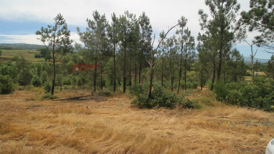 Terreno para Venda em Carrapichana Foto 7