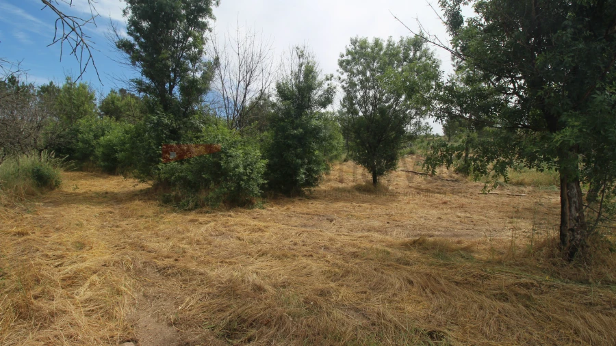 Terreno para Venda em Carrapichana Foto 2
