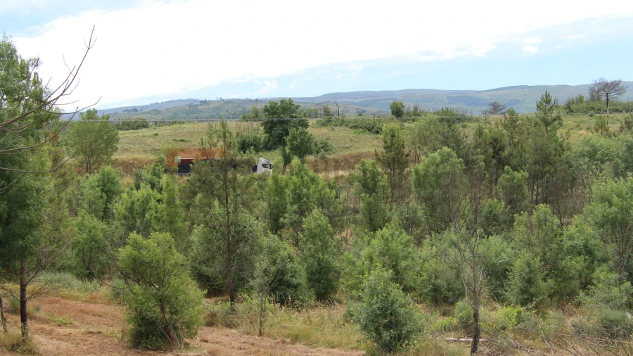 Terreno para Venda em Carrapichana Foto 13
