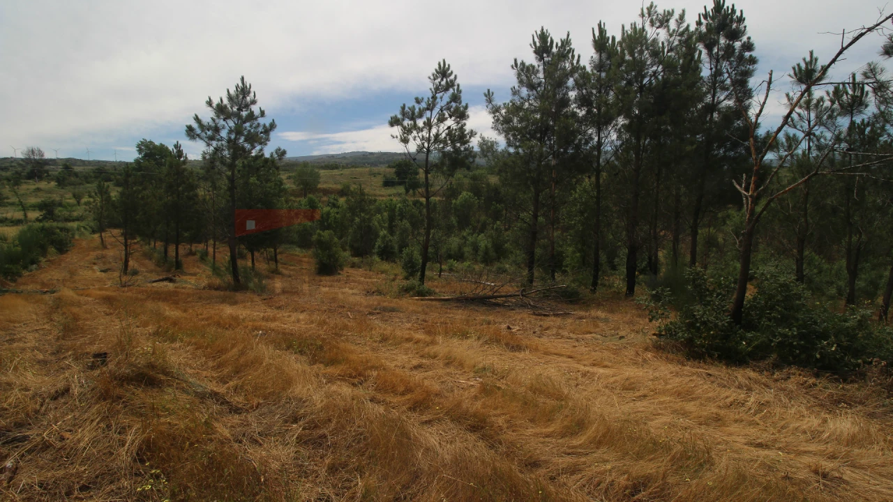 Terreno para Venda em Carrapichana Foto 6