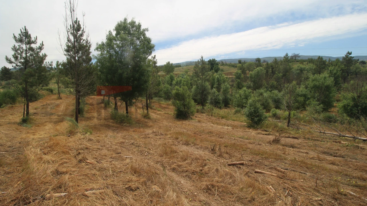 Terreno para Venda em Carrapichana Foto 8