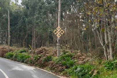 Terreno para Venda em Camacha