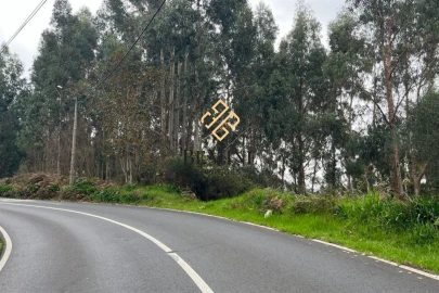Terreno para Venda em Camacha
