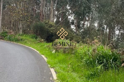 Terreno para Venda em Camacha