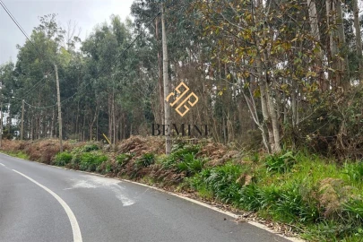 Terreno para Venda em Camacha