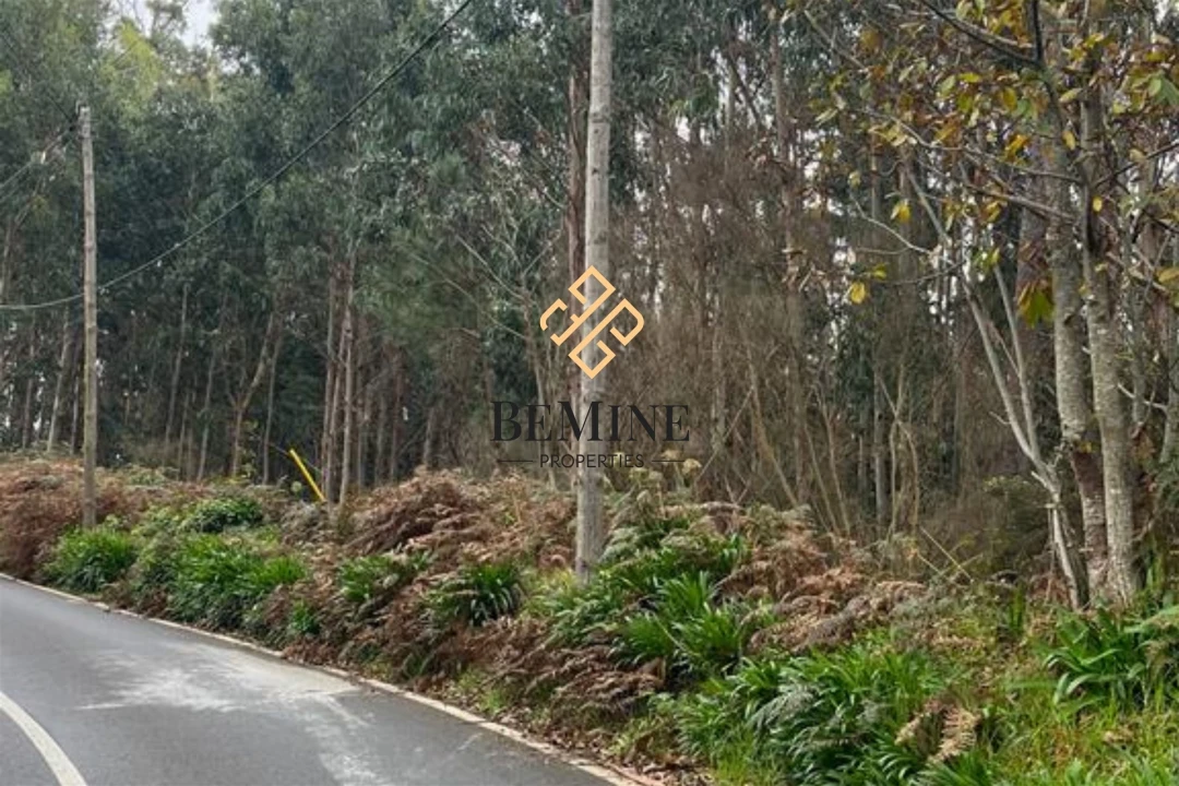 Terreno para Venda em Camacha Foto 6