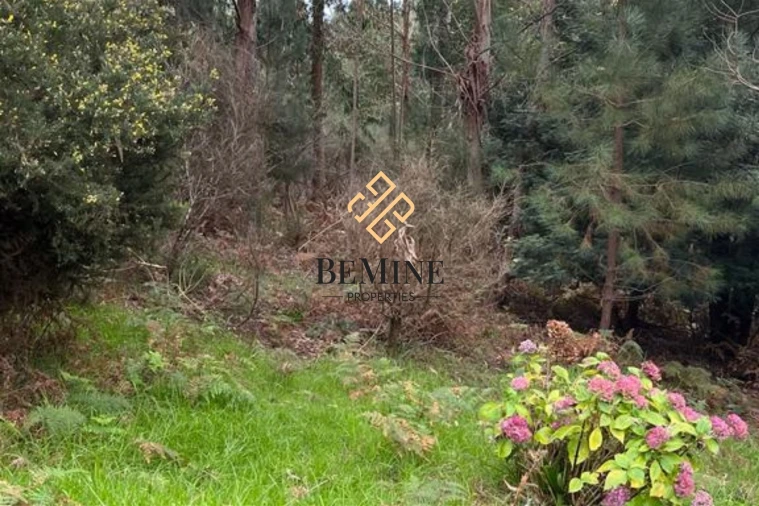 Terreno para Venda em Camacha Foto 1